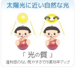 無電極ランプの特長　太陽光に近い自然な光【光の質】